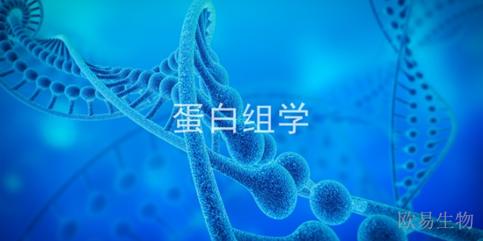 山东光速分析蛋白组学