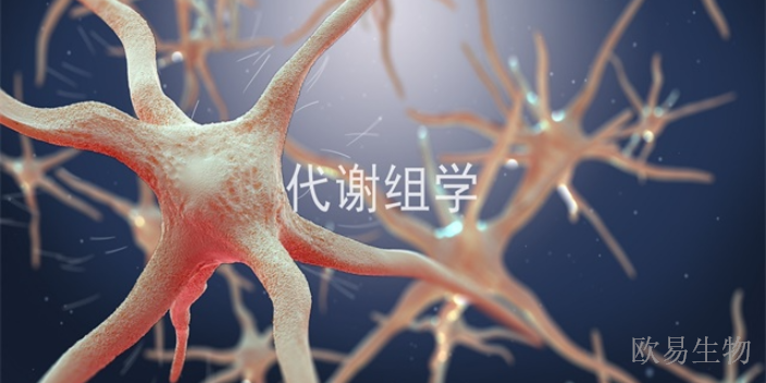 江苏蛋白组代谢组学整合分析,代谢组学