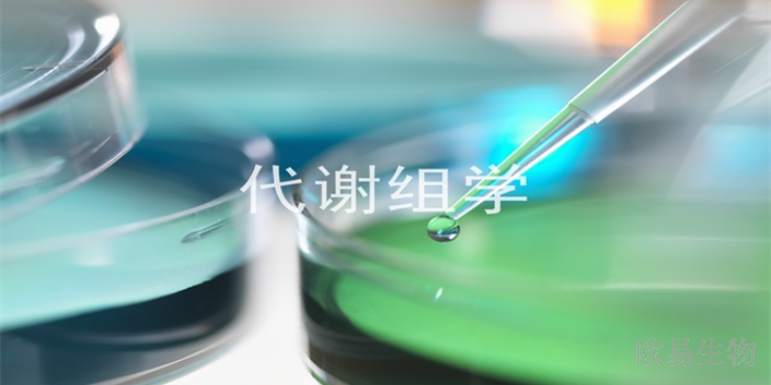 北京发酵液代谢组学
