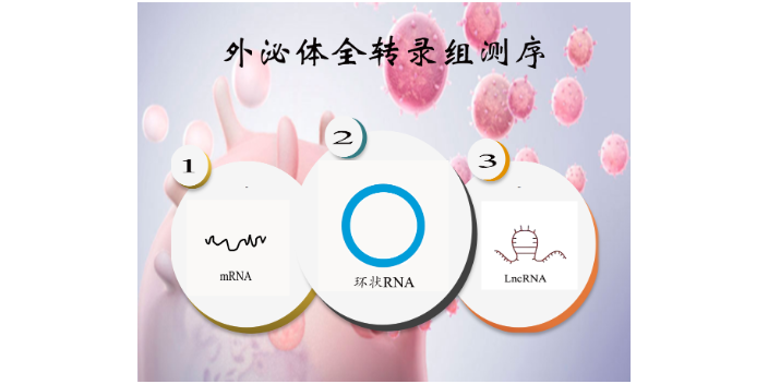 中国台湾服务外泌体环状RNA测序