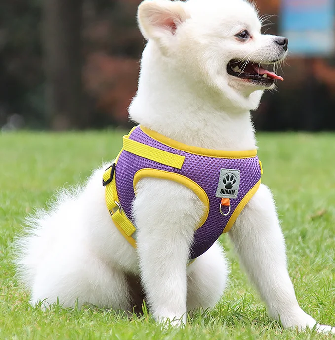 dog harness-leash set