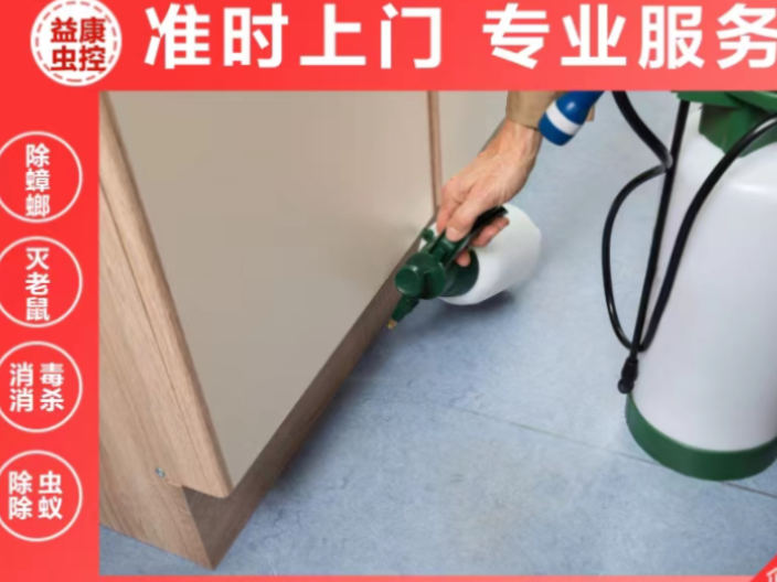 宜兴灭白蚁价格,灭白蚁