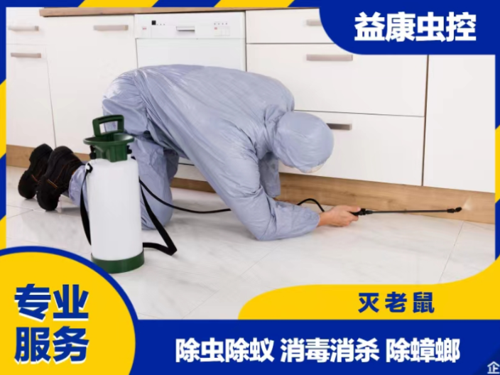 宜兴灭白蚁价格,灭白蚁