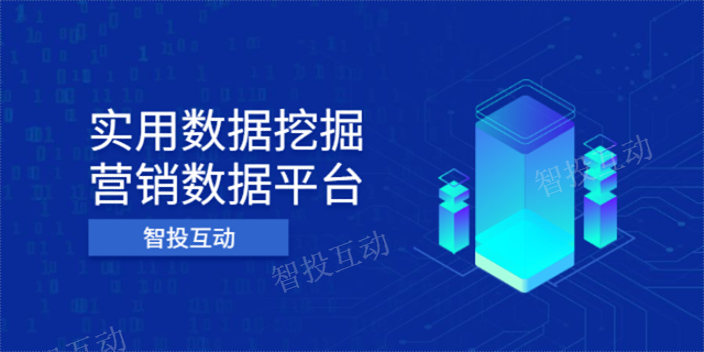 云南DSP数据运用 值得信赖 云南智投互动网络科技供应