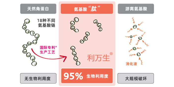 上海遗传性脱发克星脱发/掉头发24小时持续滋养 诚信经营  乐他适供应