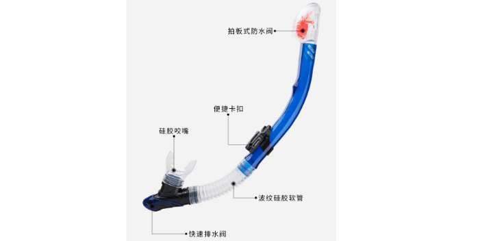 中国香港品质呼吸管规格尺寸 东莞市国洋运动器材供应;