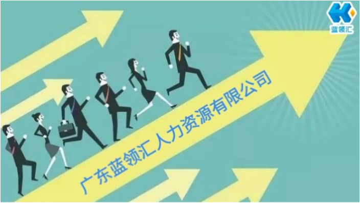 东莞企业代理哪家好,代理