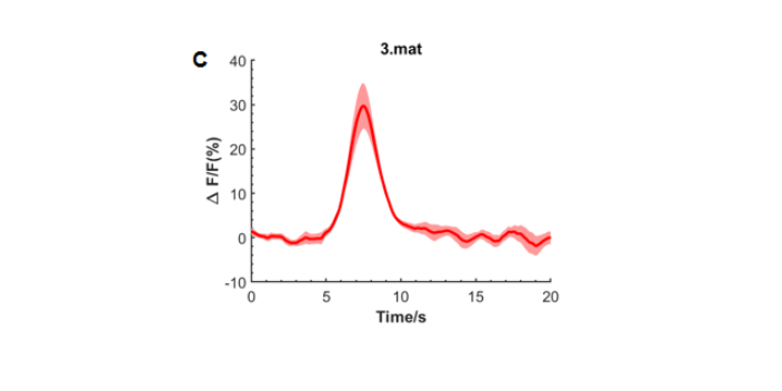 深圳钙荧光指示蛋白病毒单光纤成像技术服务