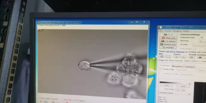 上海神經生物學膜片鉗全細胞記錄應用 服務為先 上海司鼎生物科技供應