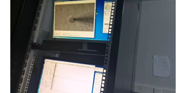 上海藥理學(xué)膜片鉗電生理技術(shù) 抱誠(chéng)守真 上海司鼎生物科技供應(yīng)