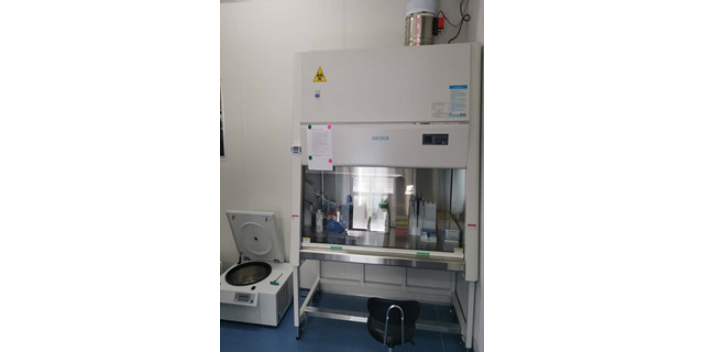南京细胞PCR检测技术方案,Real-timePCR技术服务