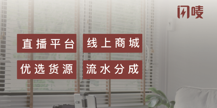 南京精选直播电商平台闪唛为什么这么多人推荐 欢迎咨询 杭州鑫泽电子商务供应