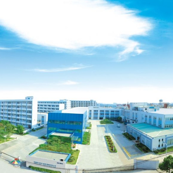 陆逊梯卡华宏（东莞）眼镜有限公司综合治理项目