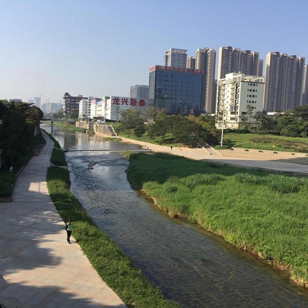 龙岗河干流管养保洁项目