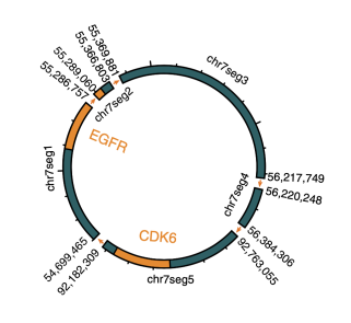 �D5.致癌基因 EGFR 和 CDK6 在同一���h�� DNA 上共�U增