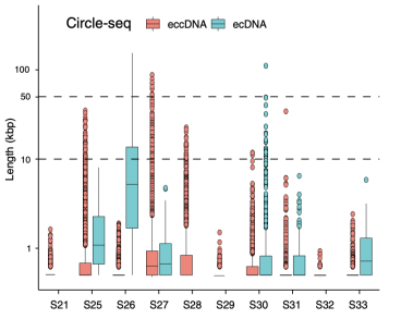图7.四个病例（S21、S28、S29、S32）当中 Circle-seq 检测到的环状 DNA 均为与肿瘤无关的eccDNA