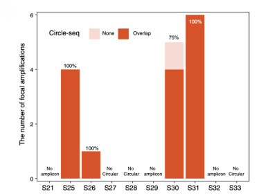 图6.四例（S25、S26、S30、S31）AmpliconArchitect 软件认为存在环状 DNA 型局部扩增的病例当中，绝大多数环状 DNA 都可被 Circle-seq 实验结果验证