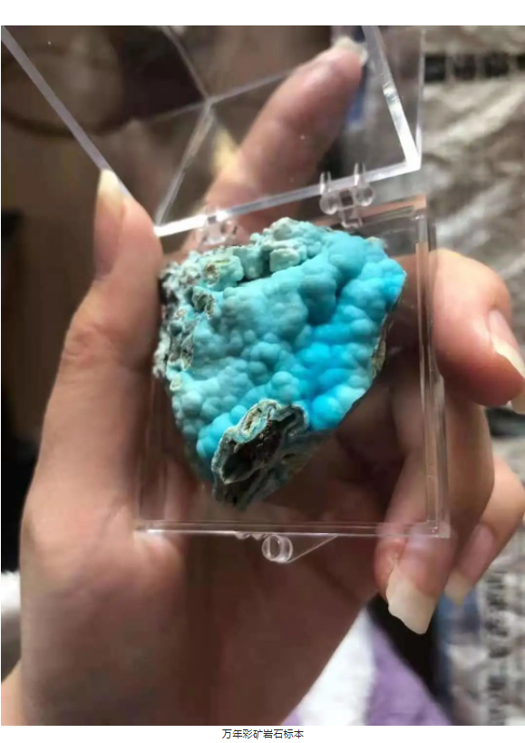 3D掃描