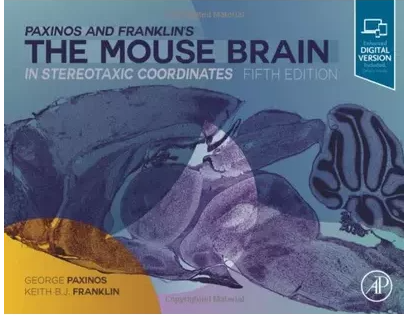 小鼠腦圖譜 The Mouse Brain