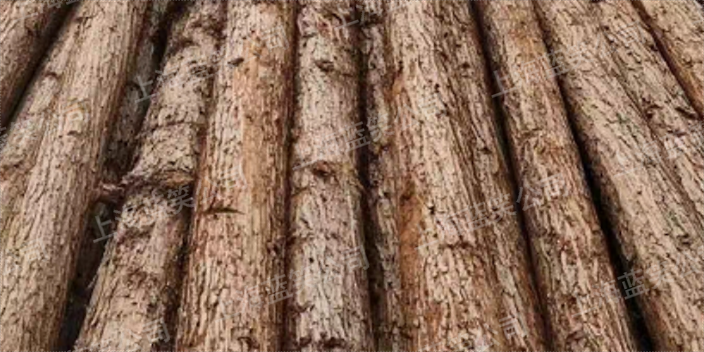 安徽水利杉木樁供應