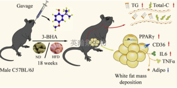 安徽比較好的藥效學(xué)研究,藥效學(xué)