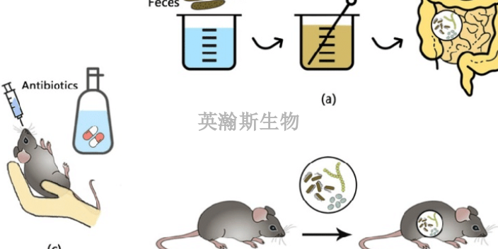 天津個(gè)性化藥效學(xué)評(píng)價(jià)