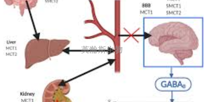 河南专注药效学多少钱