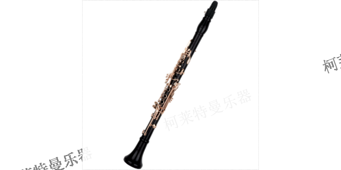 深圳中音单簧管好学吗