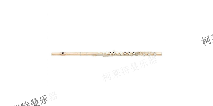 南京供应单簧管品牌