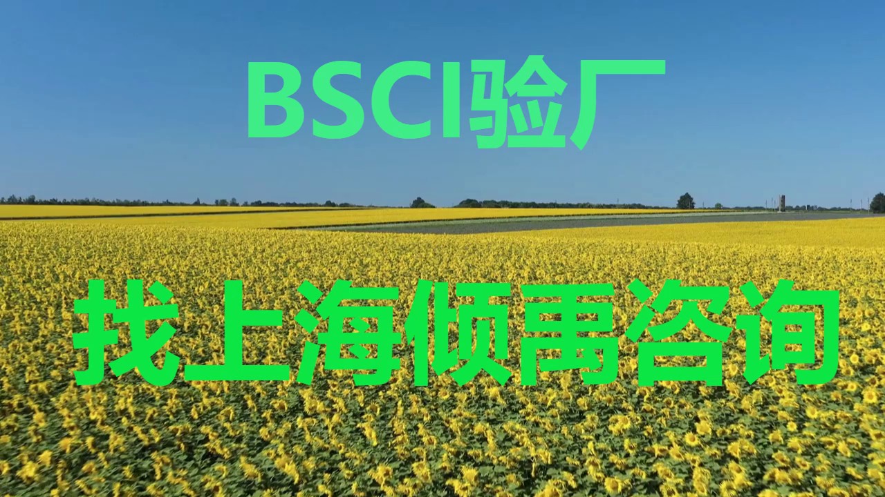 雅芳验厂SEDEX验厂巴斯夫验厂FSCC认证BSCI认证是什么意思,BSCI认证