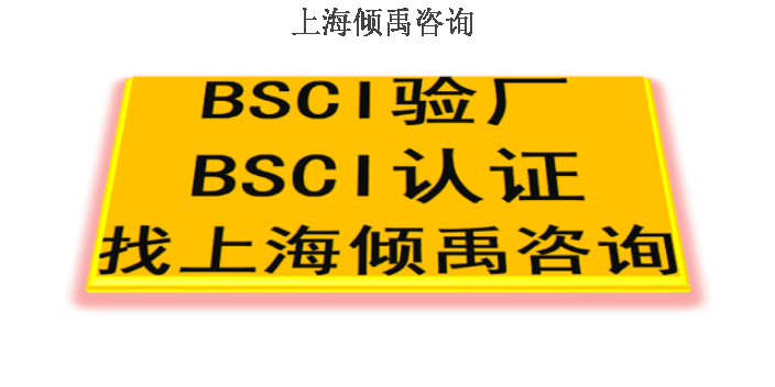 上海DG验厂迪士尼验厂BSCI验厂,BSCI验厂