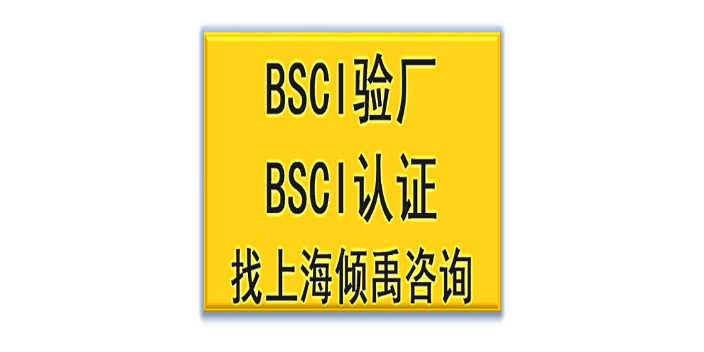 GSV反恐验厂DG验厂BV社会责任审核 BSCI认证咨询公司顾问机构