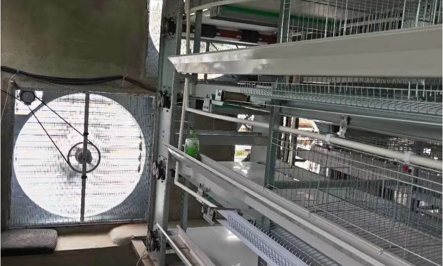 辽宁升级自动化养鸡粪污处理系统 河南小龙人农牧机械设备供应