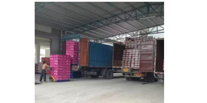 上海越南海运出口拼箱 值得信赖 上海沃世国际货运代理供应