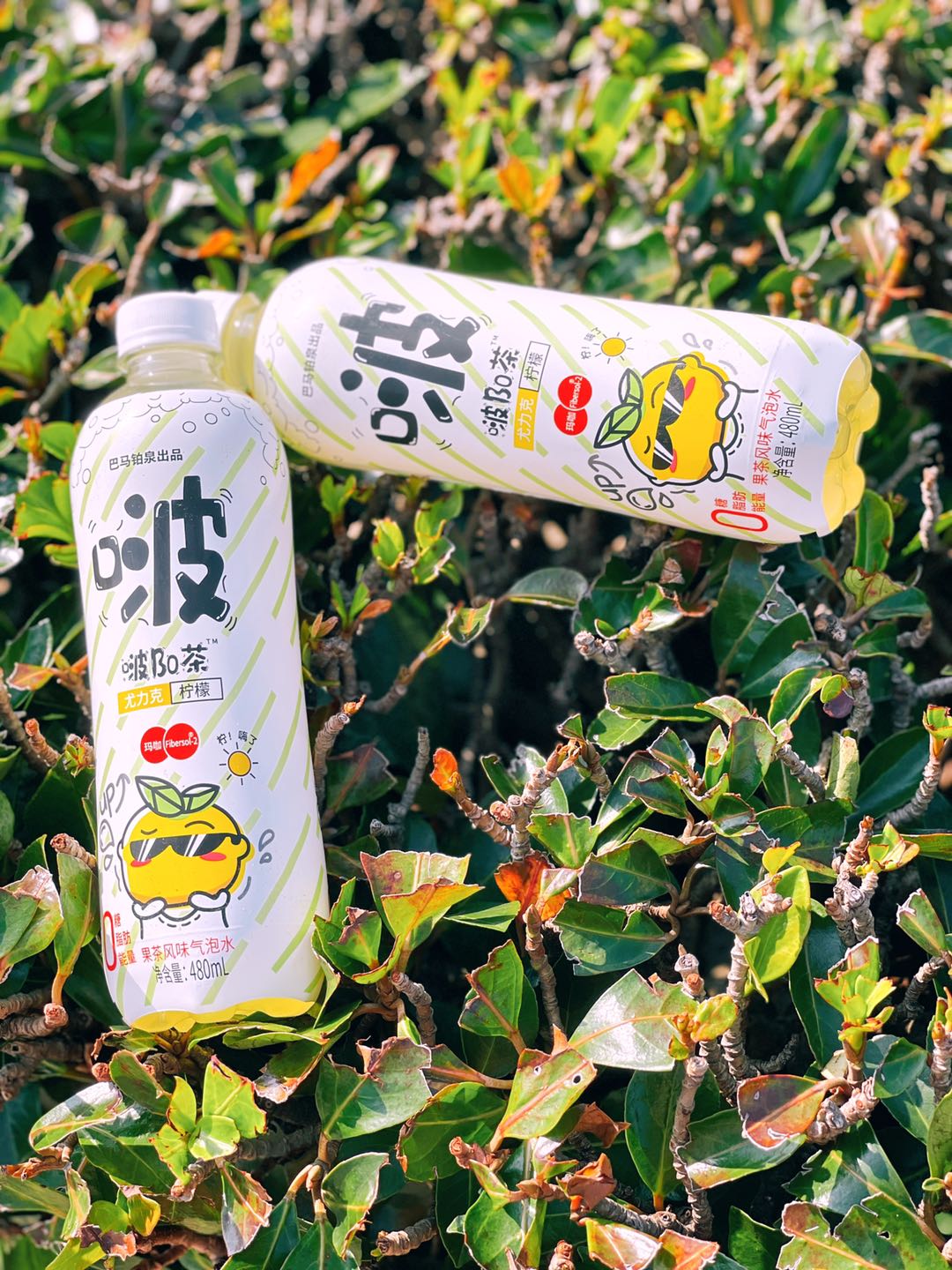 檸檬烏龍味 (12).jpg