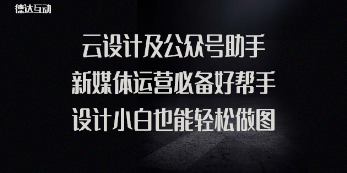 河北网站设计 欢迎来电 北京德达互动咨询供应
