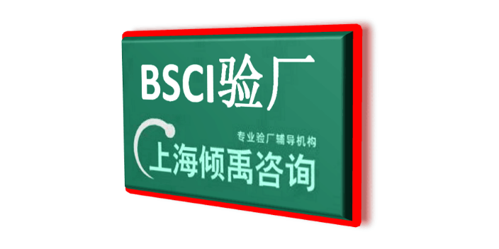 上海雅芳验厂迪士尼验厂BSCI验厂 欢迎来电 上海倾禹咨询供应