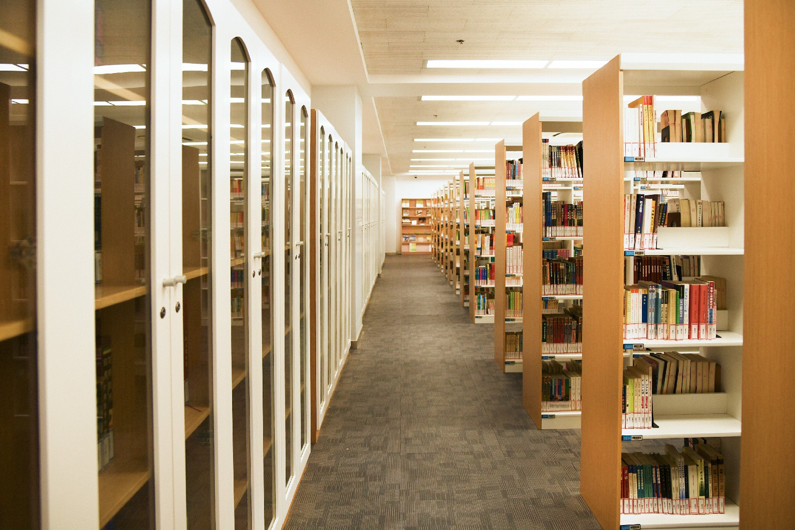 上海市-行知中学智慧图书馆