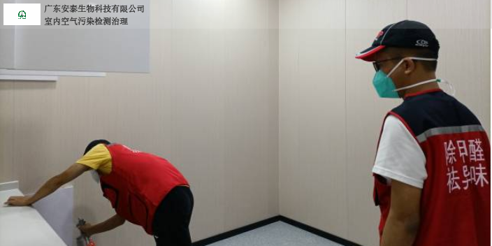 東莞專業除甲醛多少錢,除甲醛