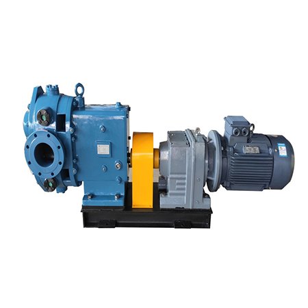 HK type cam rotor pump