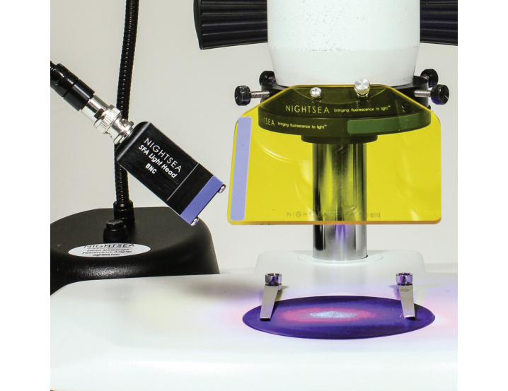 顯微鏡適配熒光發生器