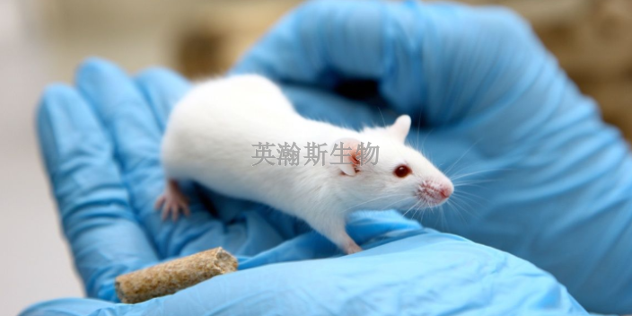 黑龙江比较好的临床前动物实验检测