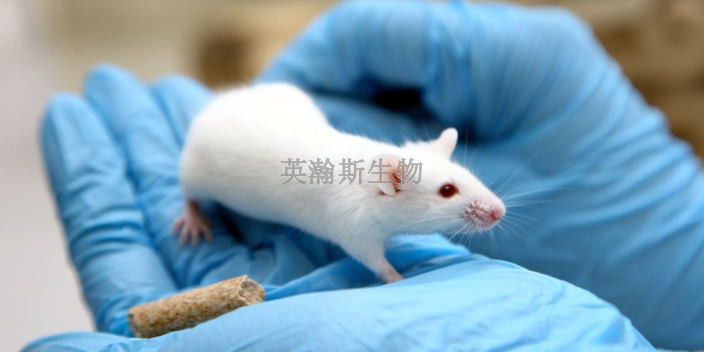 吉林高質(zhì)量臨床前動物實驗外包,臨床前動物實驗