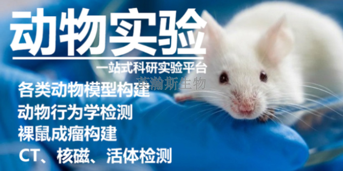 青海專注臨床前動物實驗是什么,臨床前動物實驗