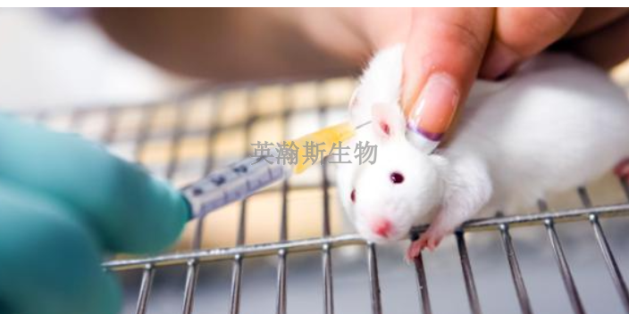 上海什么是臨床前動物實驗評價,臨床前動物實驗