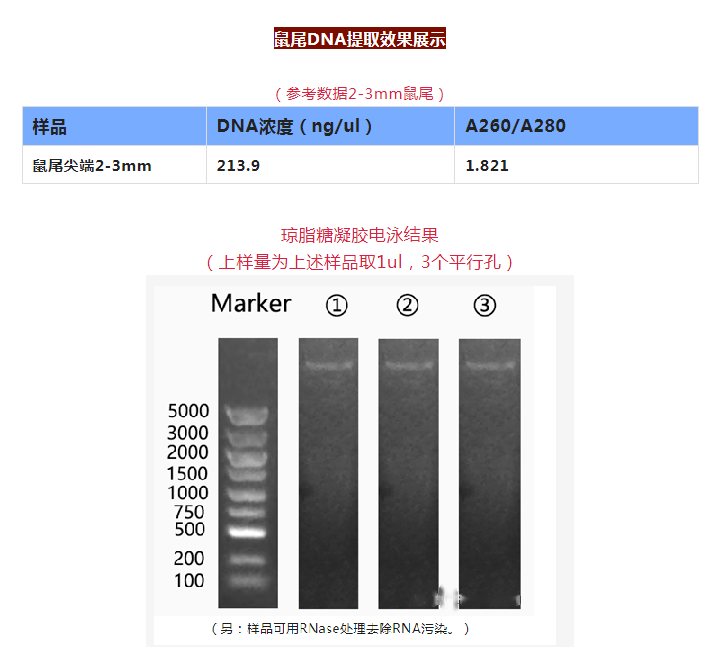 QQ截圖20220602091935.png