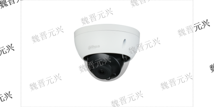 大华摄像机DH-IPC-HFW2233DM-I2-0800B,安防监控