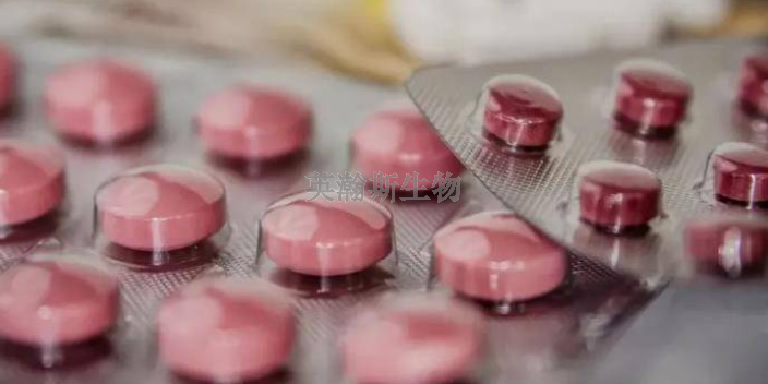 内蒙古专注药物安全性评价公司