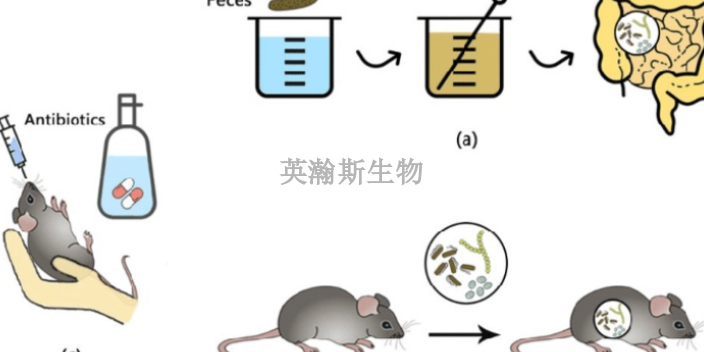 西藏有什么临床前动物实验检测,临床前动物实验