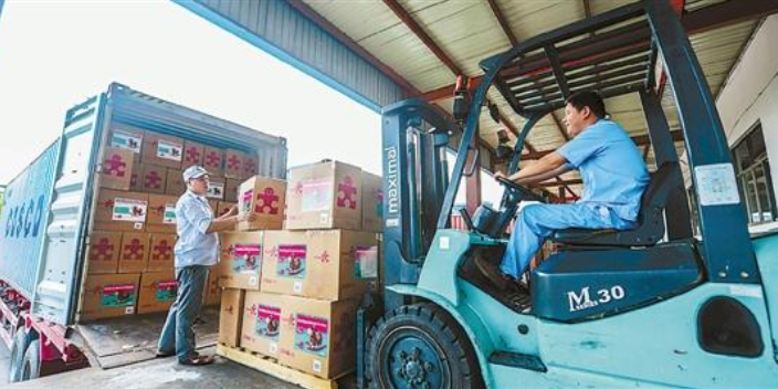 海南品质国内集装箱货物运输代理